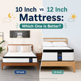 10 Inch vs 12 Inch Mattress