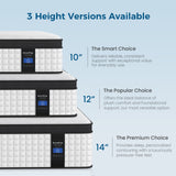 Inofia 10&12&14 Inch Luxury Innerspring and Memory Foam Hybrid Mattress